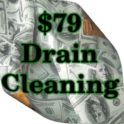 Save money with this drain cleaning coupon