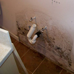 Our plumbers are thorough and will check to ensure that you don't have mildew and mold causing leaks